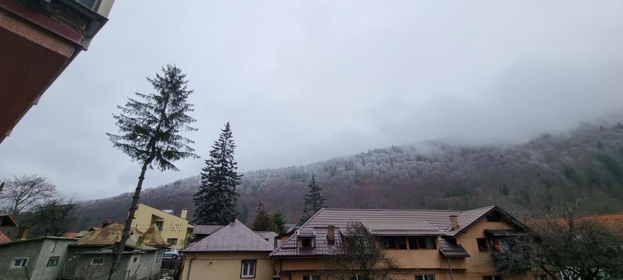 Apartament Sara Belleview