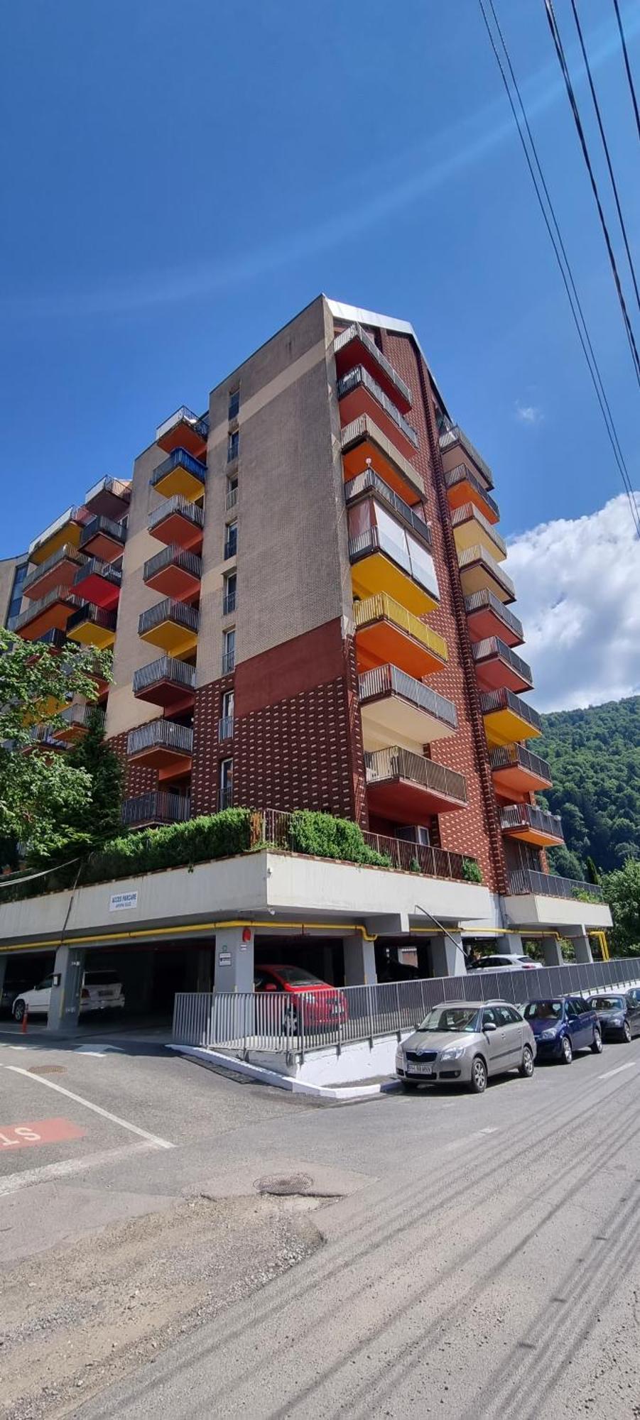 Sara Belleview Sinaia